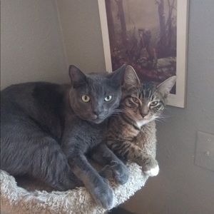 Meet your Posher, Heather